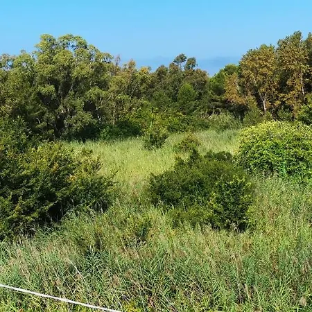 Baia A Schiera A 100 M Dalla * Gallipoli